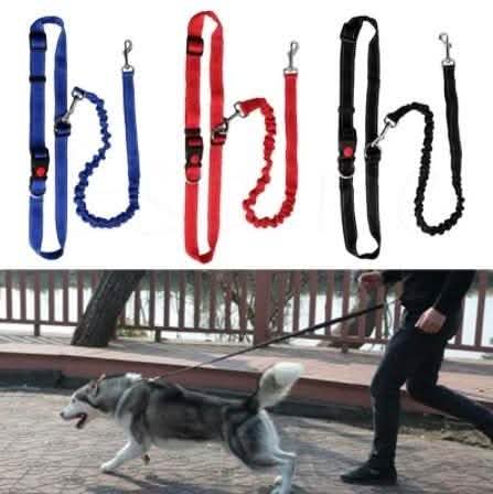 Hands Free Running Bungee Dog Leash - Assorted Colors