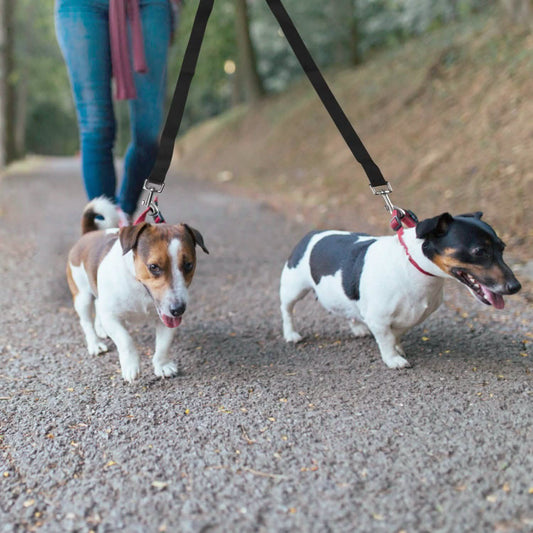 No-Tangle Dual Dogs Leash